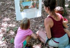 mossytaletrail___08093809648