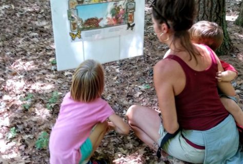 mossytaletrail___08093809648