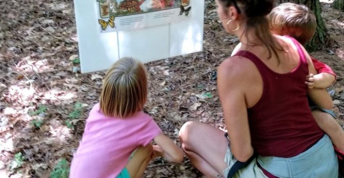 mossytaletrail___08093809648