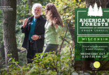 Americas-Forests-FB-banner