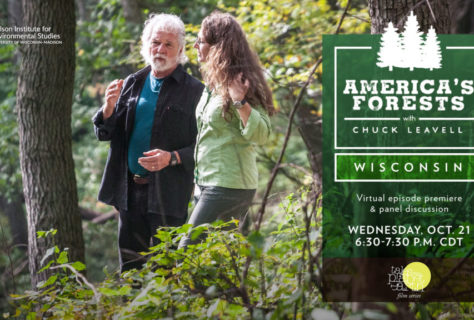 Americas-Forests-FB-banner